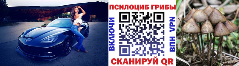 Галлюциногенные грибы MAGIC MUSHROOMS  Купить где  Североуральск 